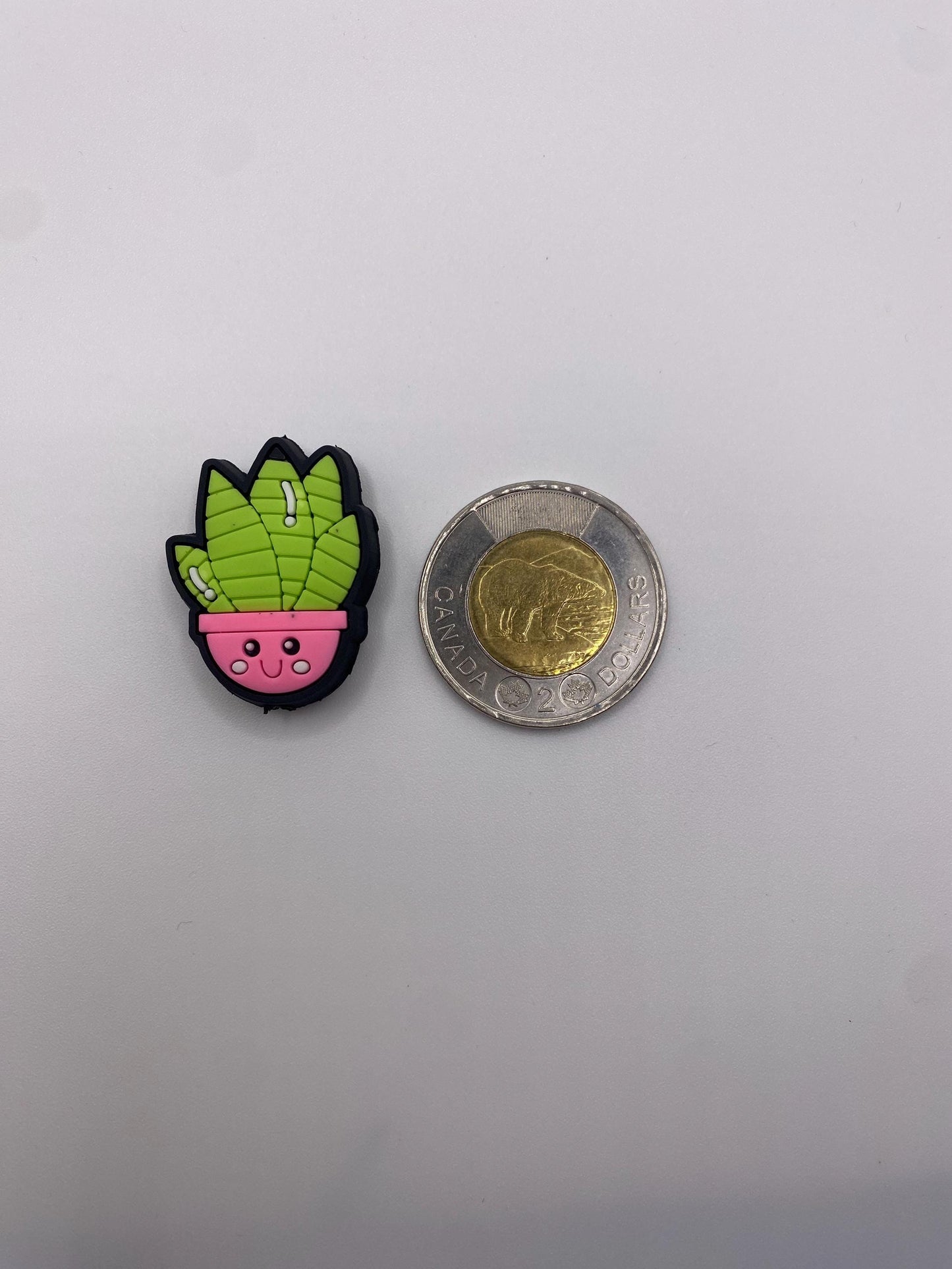 Happy Houseplant Needle Protector set of 2