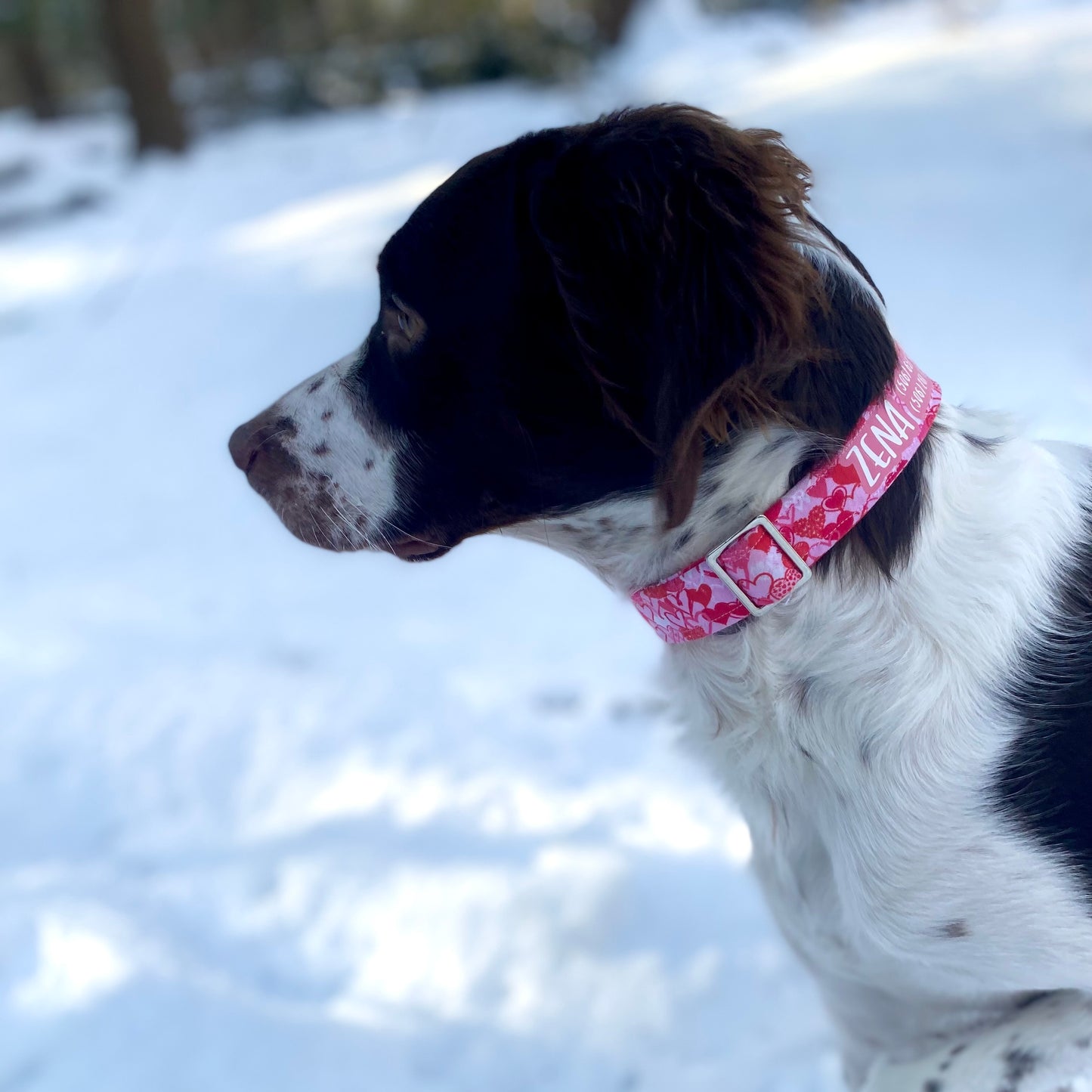 Personalized Flamingo Dog Collar