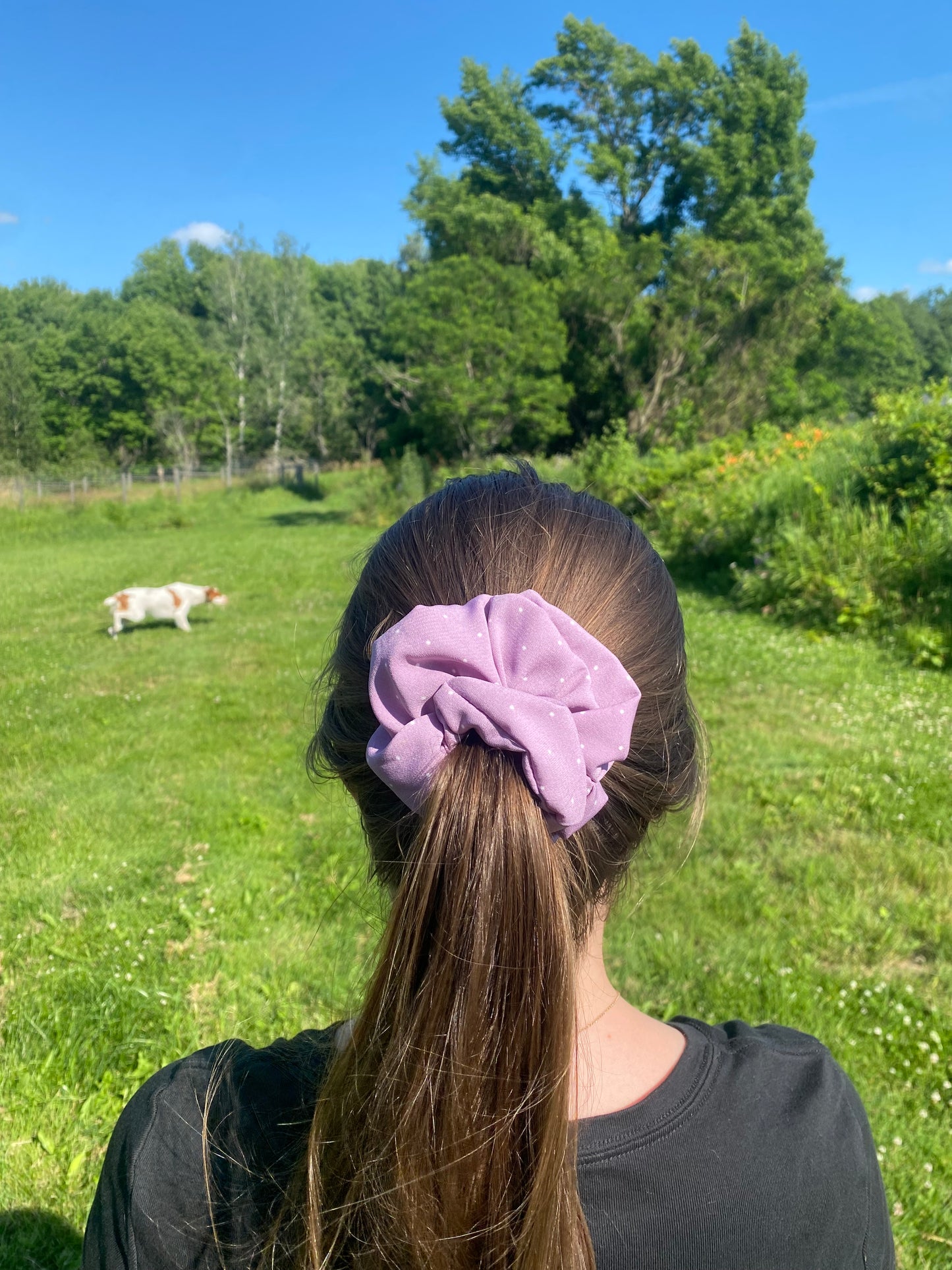 Purple Scrunchies