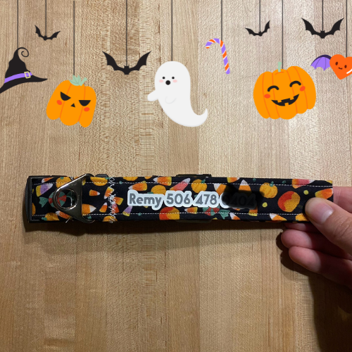 Personalized Halloween Dog Collar