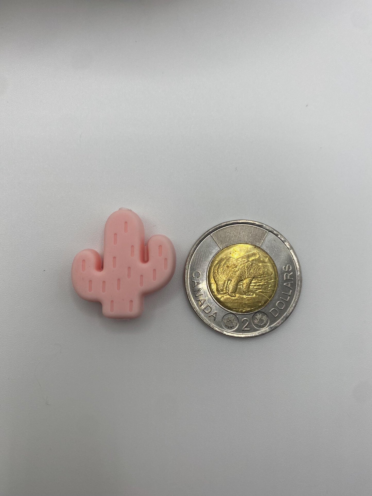 Pink Cactus Needle Protector set of 2